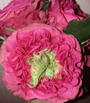 Исланд Лагуна