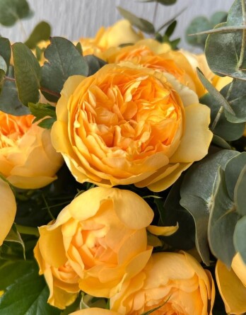 Роза Сильва Санни